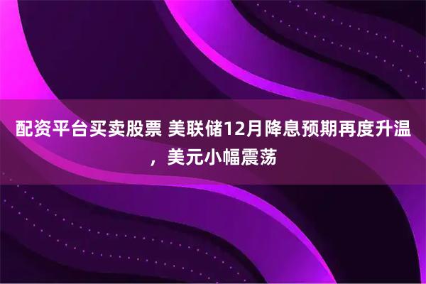 配资平台买卖股票 美联储12月降息预期再度升温，美元小幅震荡