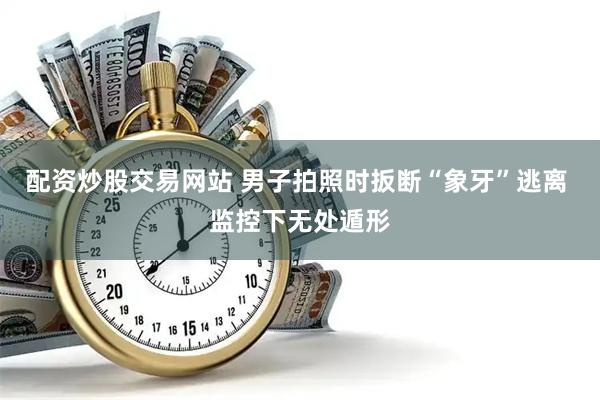 配资炒股交易网站 男子拍照时扳断“象牙”逃离 监控下无处遁形